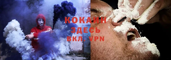 PSILOCYBIN Богданович