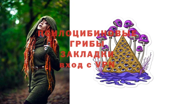 бошки Арсеньев