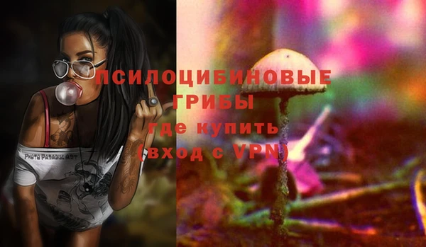 бошки Арсеньев